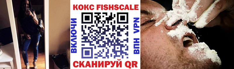 купить наркотики цена  Весьегонск  Cocaine Эквадор 