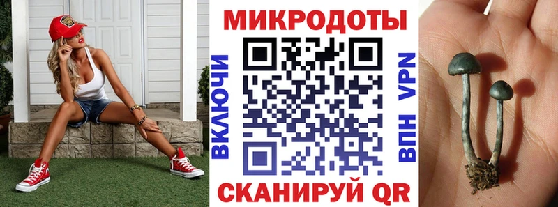KRAKEN ONION  где купить наркоту  Весьегонск  Псилоцибиновые грибы GOLDEN TEACHER 